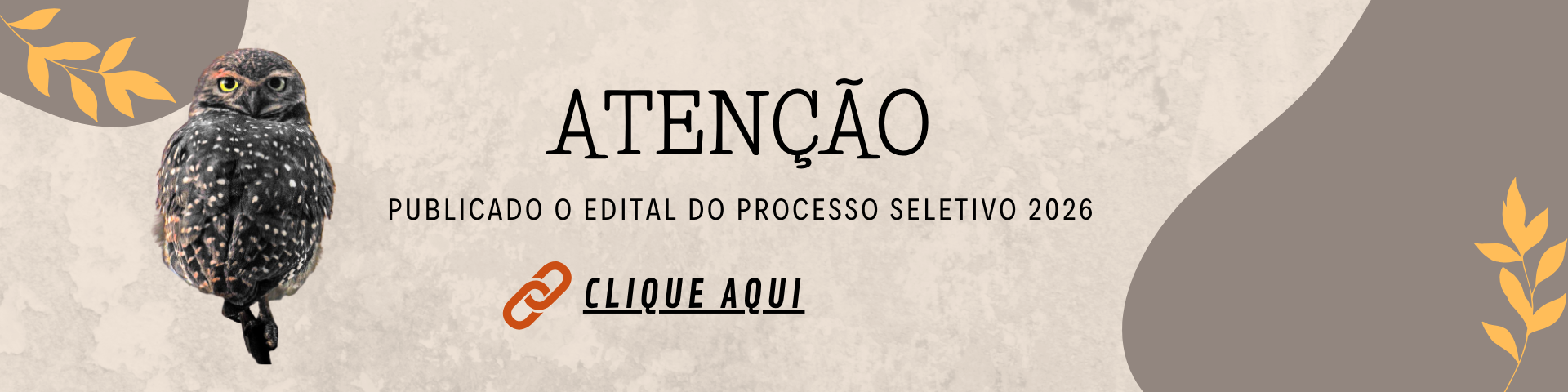 Processo Seletivo 2026